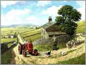 Lane End - Kevin Walsh