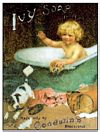 Ivy Soap