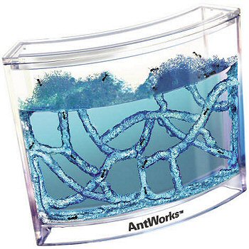 Ant Works